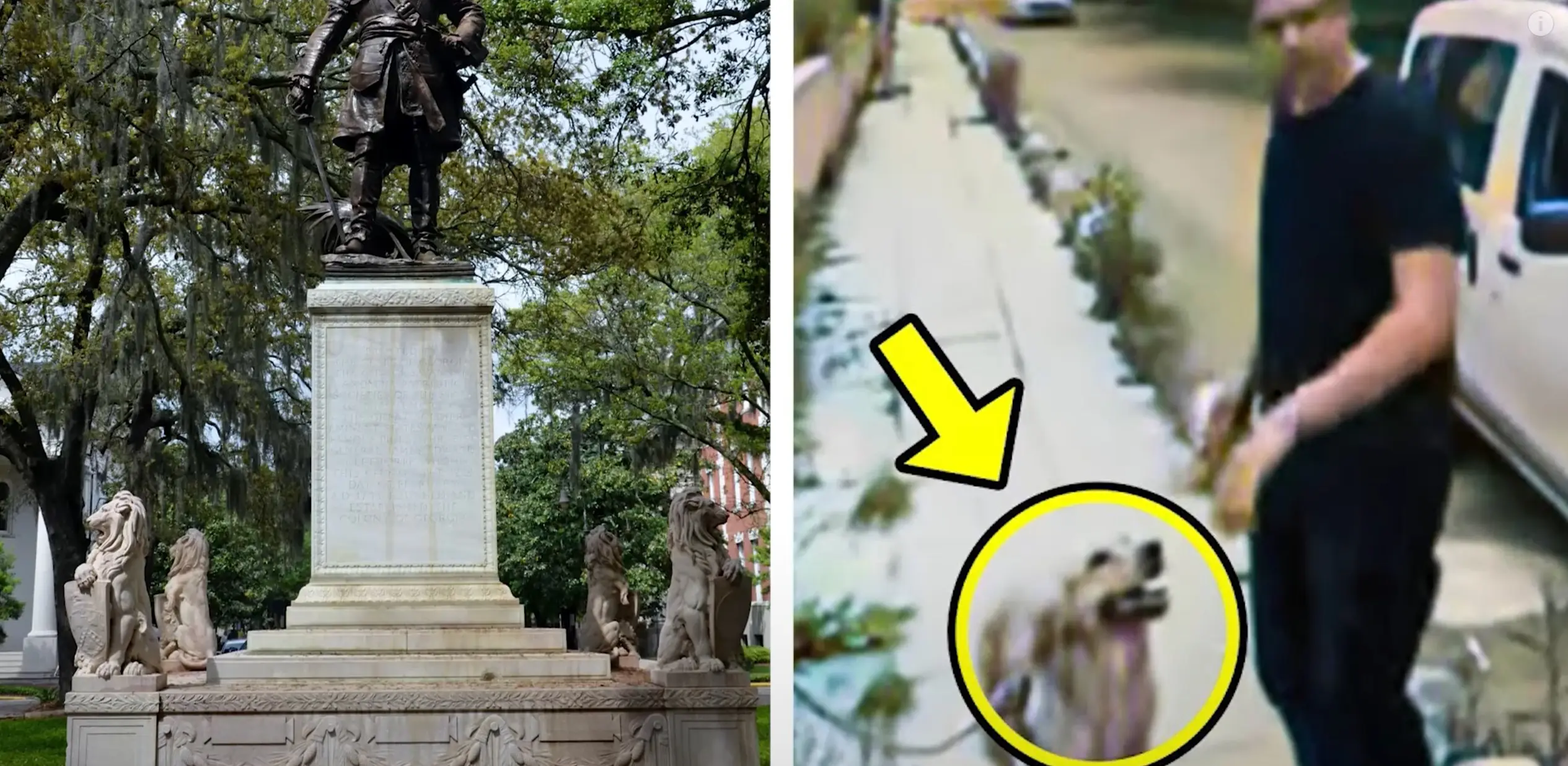Caught on camera: Owner leaves golden retriever behind in heartbreaking video.